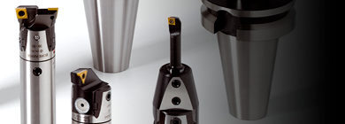 PINZBOHR boring heads